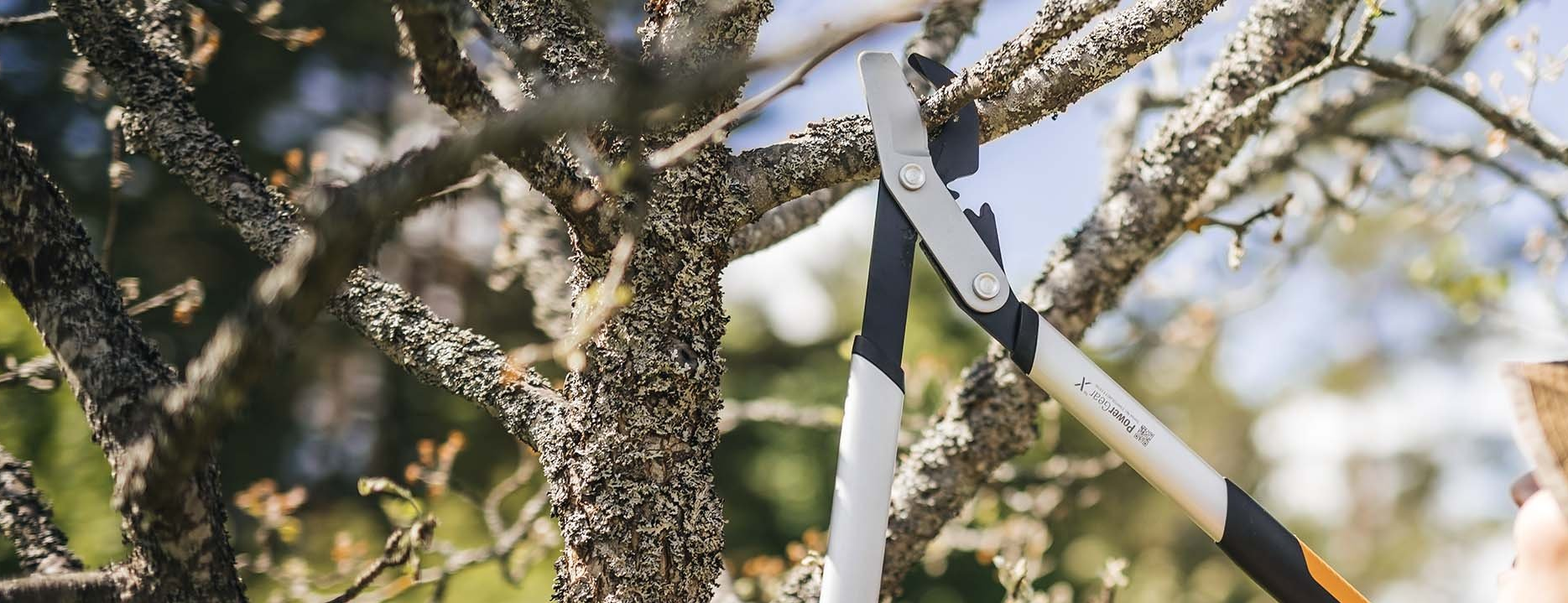 Fiskars