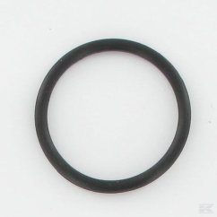 Obrázek (359)