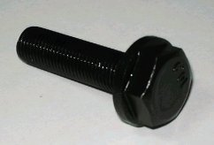 Obrázek (4754)