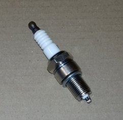 Obrázek (5598)
